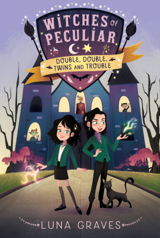 Cover image: Double, Double, Twins and Trouble 9781665914260