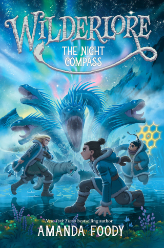 Cover image: The Night Compass 9781665910798