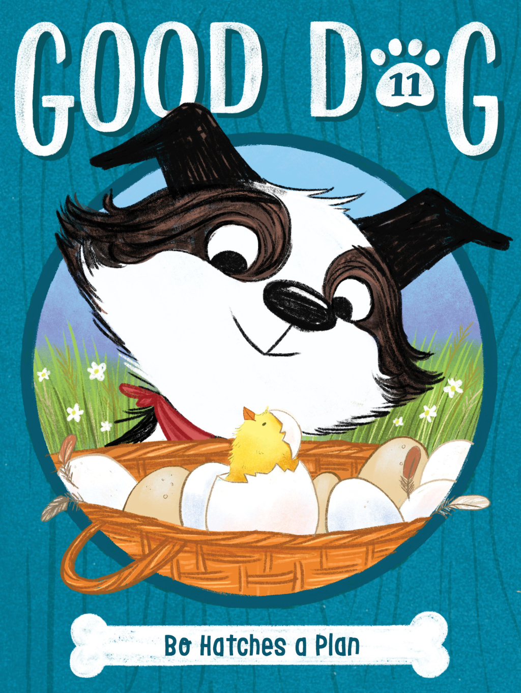 Bo Hatches a Plan eBook