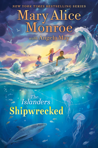 Cover image: Shipwrecked 9781665933018