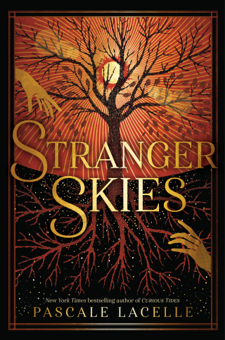 Cover image: Stranger Skies 9781665939300