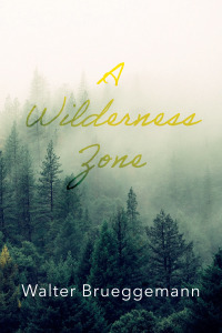 Cover image: A Wilderness Zone 9781666701234