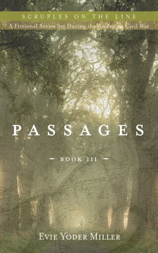 Cover image: Passages 9781666704785