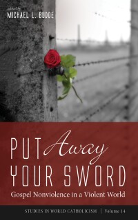 Cover image: Put Away Your Sword 9781666705959