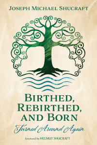 Cover image: Birthed, Rebirthed, and Born: Turned Around Again 9781666705980