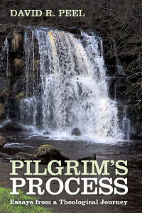 Cover image: Pilgrim’s Process 9781666709162