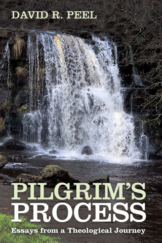 Imagen de portada: Pilgrim’s Process 9781666709162