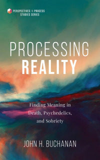 Titelbild: Processing Reality 9781666709285