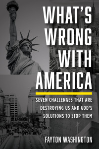 Imagen de portada: What’s Wrong with America 9781666713992