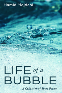 Cover image: Life of a Bubble 9781666715651