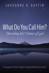 Omslagafbeelding: What Do You Call Him? Unveiling 160 Names of God 9781666715804