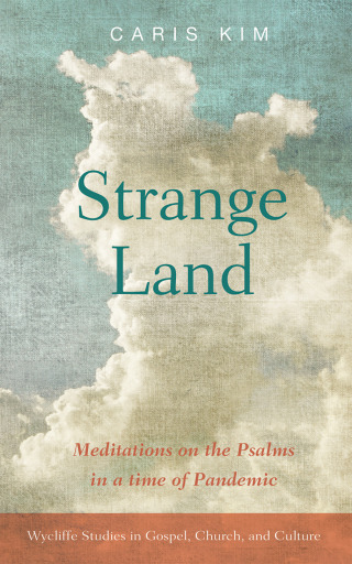 Cover image: Strange Land 9781666716887