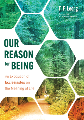 Cover image: Our Reason for Being 9781666717068