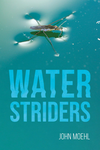 Titelbild: Water Striders 9781666730258