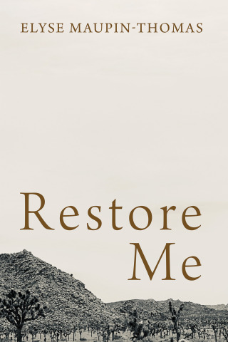 Titelbild: Restore Me 9781666730449