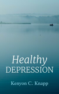 表紙画像: Healthy Depression 9781666730494