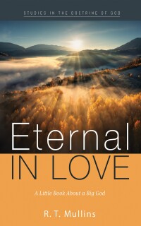 Cover image: Eternal in Love 9781666730975