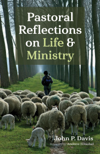 Omslagafbeelding: Pastoral Reflections on Life and Ministry 9781666731019