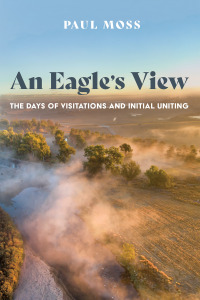 Cover image: An Eagle’s View 9781666731637