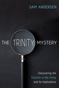 Cover image: The Trinity Mystery 9781666732139