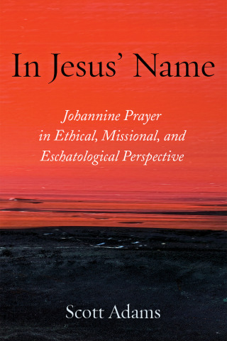 Cover image: In Jesus’ Name 9781666732412