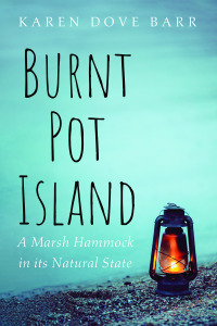 Titelbild: Burnt Pot Island 9781666732870