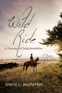 Cover image: Wild Ride 9781666741599