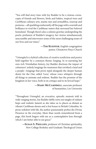 Cover image: Untangled 9781666743043