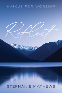 Cover image: Reflect 9781666745030
