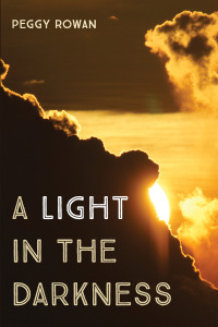 Cover image: A Light in the Darkness 9781666746853