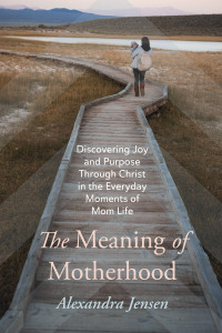 Titelbild: The Meaning of Motherhood 9781666747706