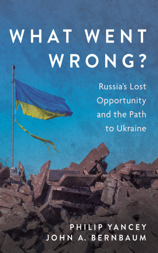 Cover image: What Went Wrong? 9781666747973