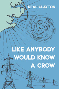 Cover image: Like Anybody Would Know a Crow 9781666748369