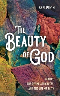 Cover image: The Beauty of God 9781666750669