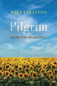 Cover image: Pilgrim 9781666753059