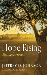 Cover image: Hope Rising 9781666755749