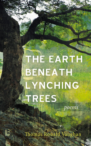 Imagen de portada: The Earth beneath Lynching Trees 9781666756777
