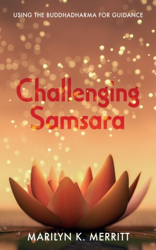 Cover image: Challenging Samsara 9781666761412