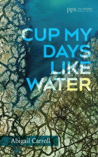 Cover image: Cup My Days Like Water 9781666762891