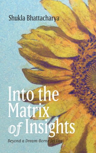 Imagen de portada: Into the Matrix of Insights 9781666764123