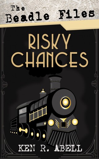 表紙画像: The Beadle Files: Risky Chances 9781666766349