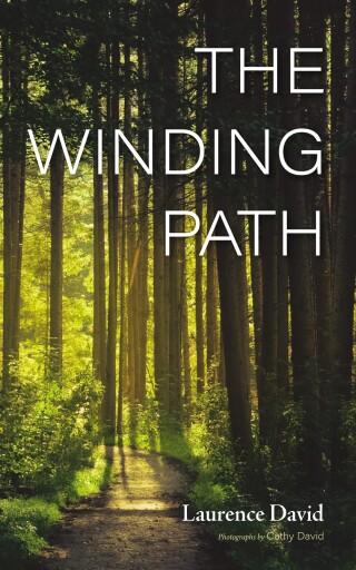 表紙画像: The Winding Path 9781666770124