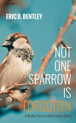 Cover image: Not One Sparrow Is Forgotten 9781666770629