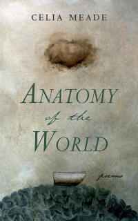 Cover image: Anatomy of the World 9781666770988