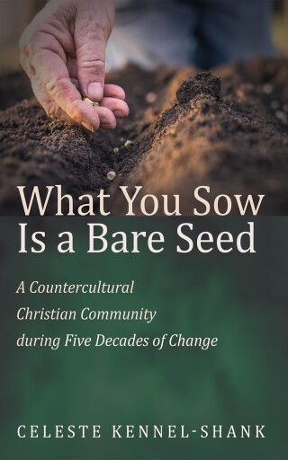 表紙画像: What You Sow Is a Bare Seed 9781666771077