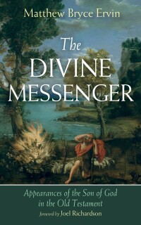 Cover image: The Divine Messenger 9781666771619