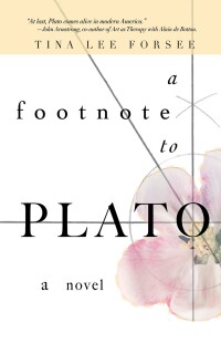 Cover image: A Footnote to Plato 9781666775037