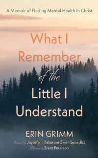 Cover image: What I Remember of the Little I Understand 9781666775426