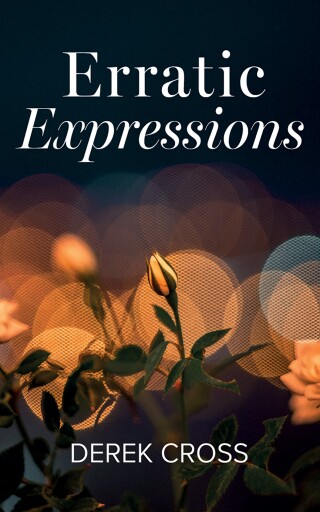 Imagen de portada: Erratic Expressions 9781666775815