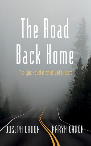 Imagen de portada: The Road Back Home 9781666776515